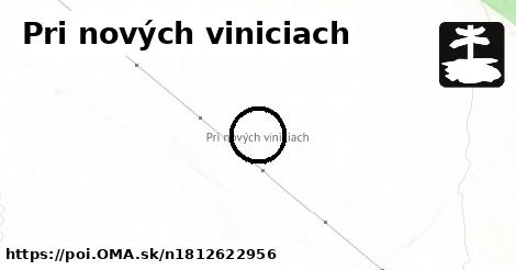 Pri nových viniciach