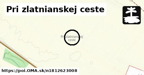 Pri zlatnianskej ceste