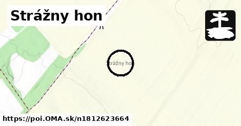 Strážny hon