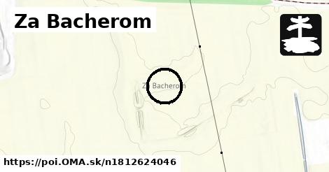 Za Bacherom