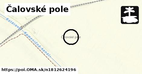 Čalovské pole