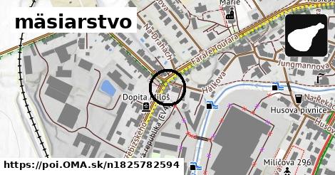 mäsiarstvo