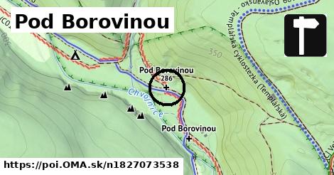 Pod Borovinou