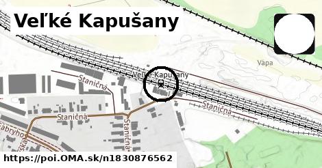 Veľké Kapušany