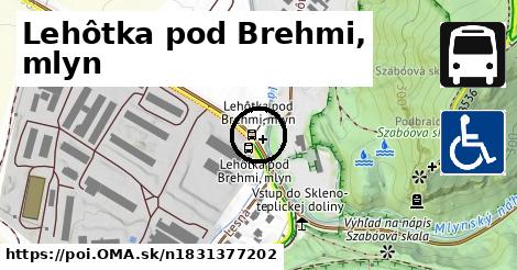 Lehôtka pod Brehmi, mlyn