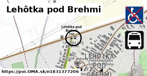 Lehôtka pod Brehmi