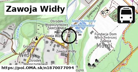 Zawoja Widły