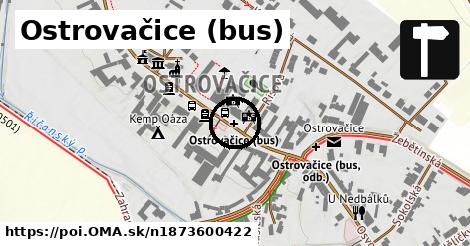 Ostrovačice (bus)