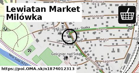 Lewiatan Market Milówka