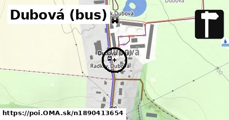 Dubová (bus)