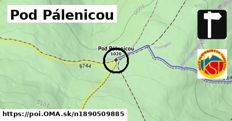 Pod Pálenicou