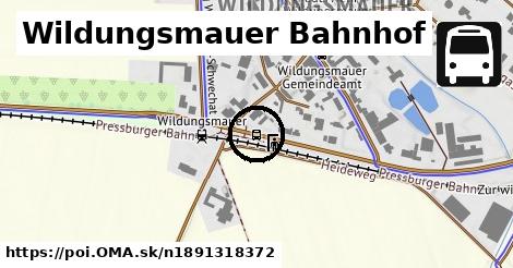 Wildungsmauer Bahnhof