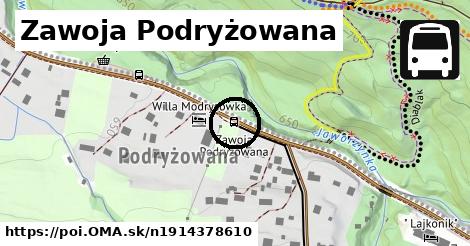 Zawoja Podryżowana