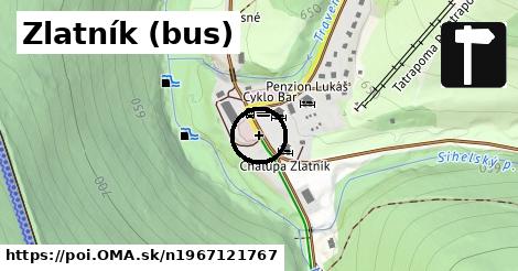 Zlatník (bus)