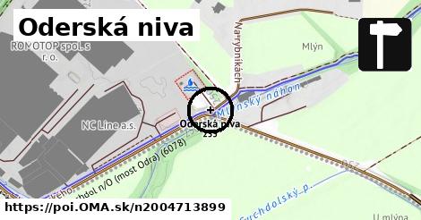 Oderská niva