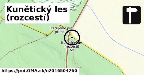 Kunětický les (rozcestí)