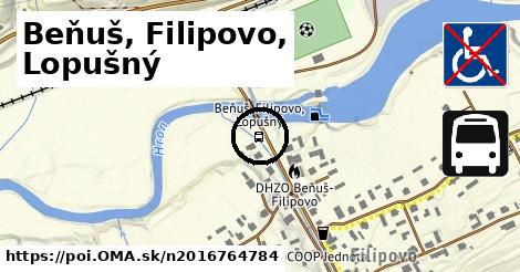 Beňuš, Filipovo, Lopušný