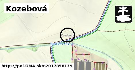 Kozebová