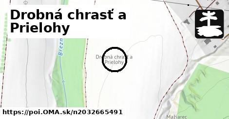 Drobná chrasť a Prielohy