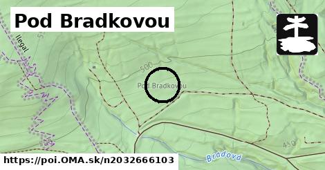 Pod Bradkovou