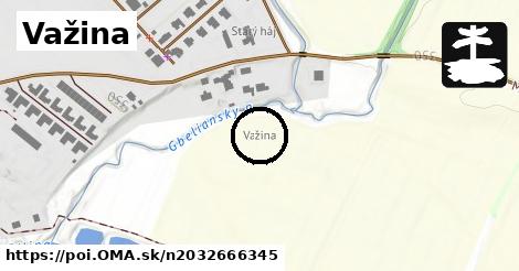 Važina