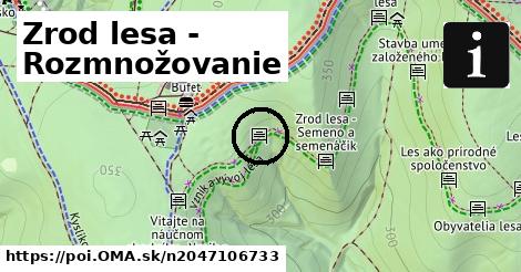 Zrod lesa - Rozmnožovanie