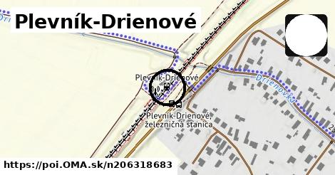 Plevník-Drienové