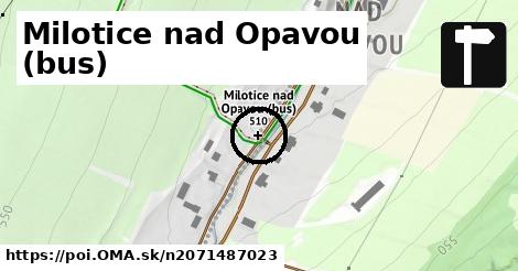 Milotice nad Opavou (bus)