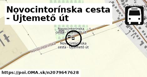 Novocintorínska cesta - Újtemető út