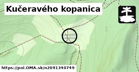 Kučeravého kopanica