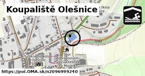 Koupaliště Olešnice