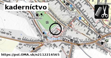 kaderníctvo