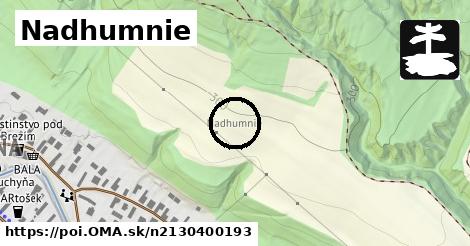 Nadhumnie