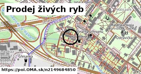 Prodej živých ryb