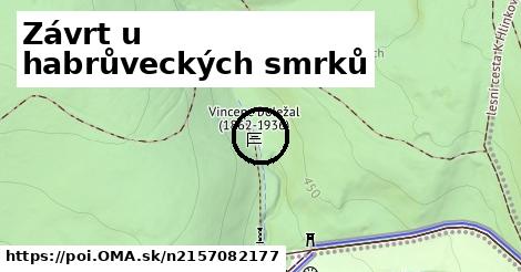 Závrt u habrůveckých smrků
