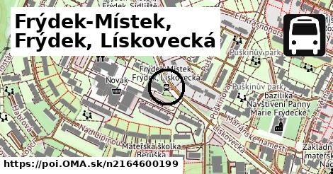 Frýdek-Místek, Frýdek, Lískovecká