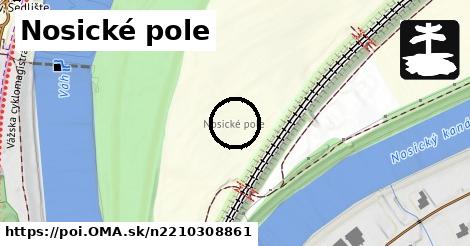 Nosické pole