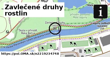 Zavlečené druhy rostlin