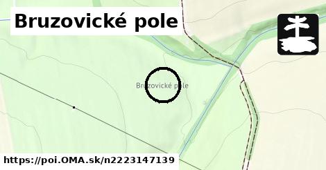 Bruzovické pole