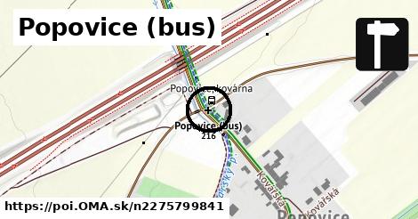 Popovice (bus)