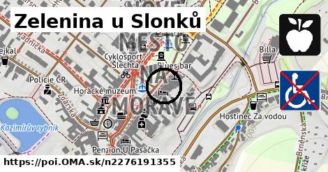 Zelenina u Slonků