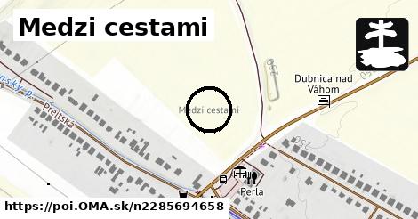 Medzi cestami