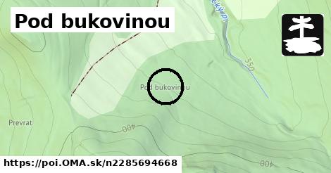 Pod bukovinou