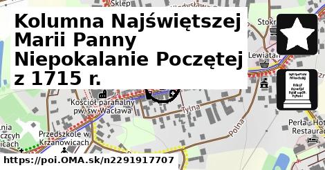 Kolumna Najświętszej Marii Panny Niepokalanie Poczętej z 1715 r.