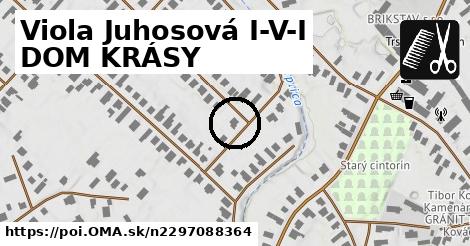 Viola Juhosová I-V-I DOM KRÁSY