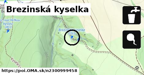 Brezinská kyselka