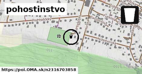 pohostinstvo