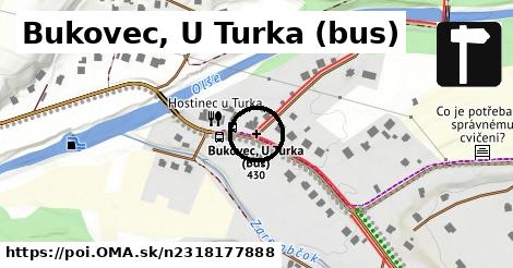 Bukovec, U Turka (bus)