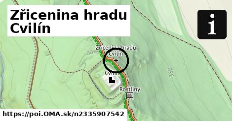 Zřicenina hradu Cvilín