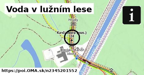 Voda v lužním lese